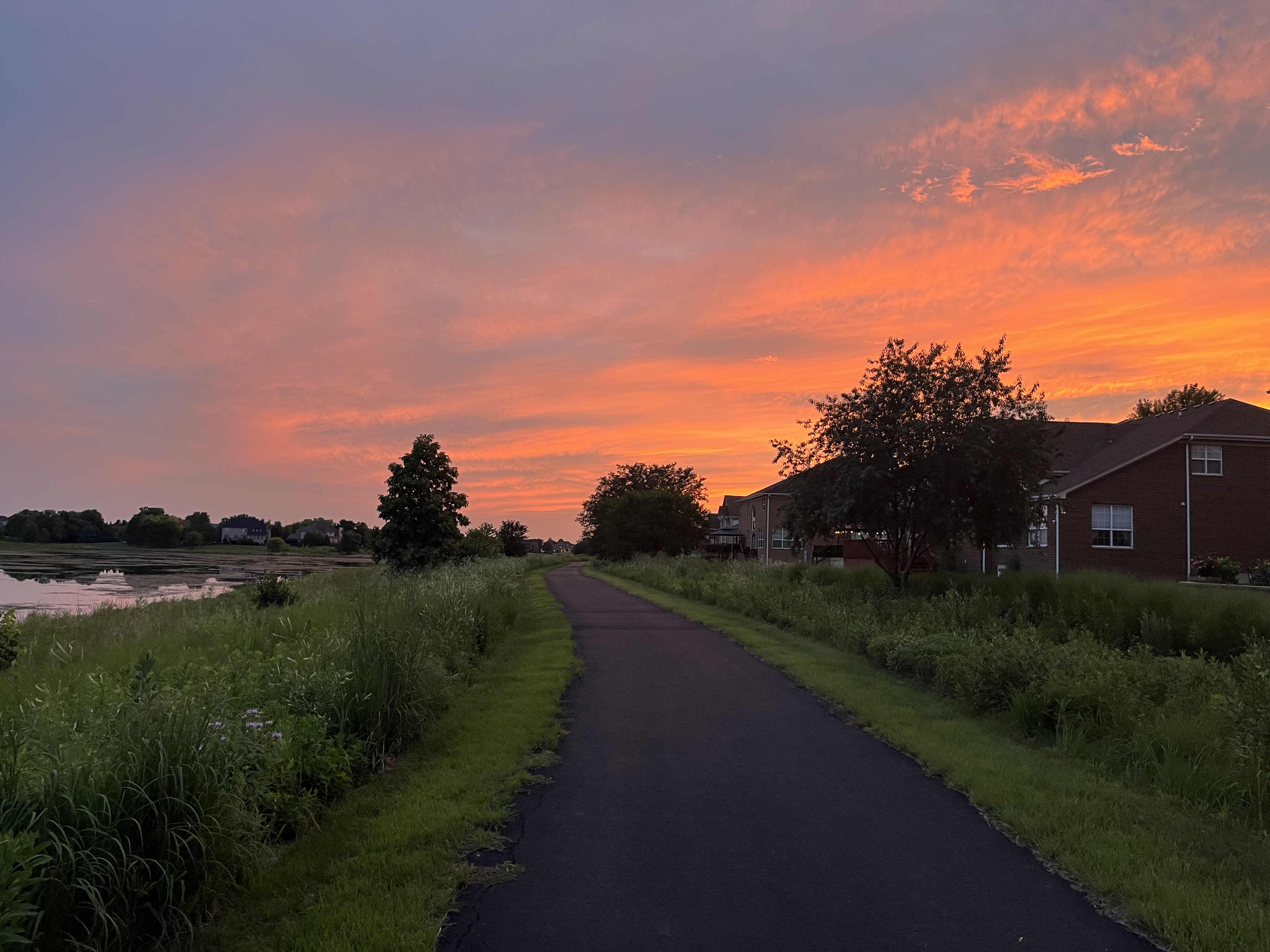 path at sunset